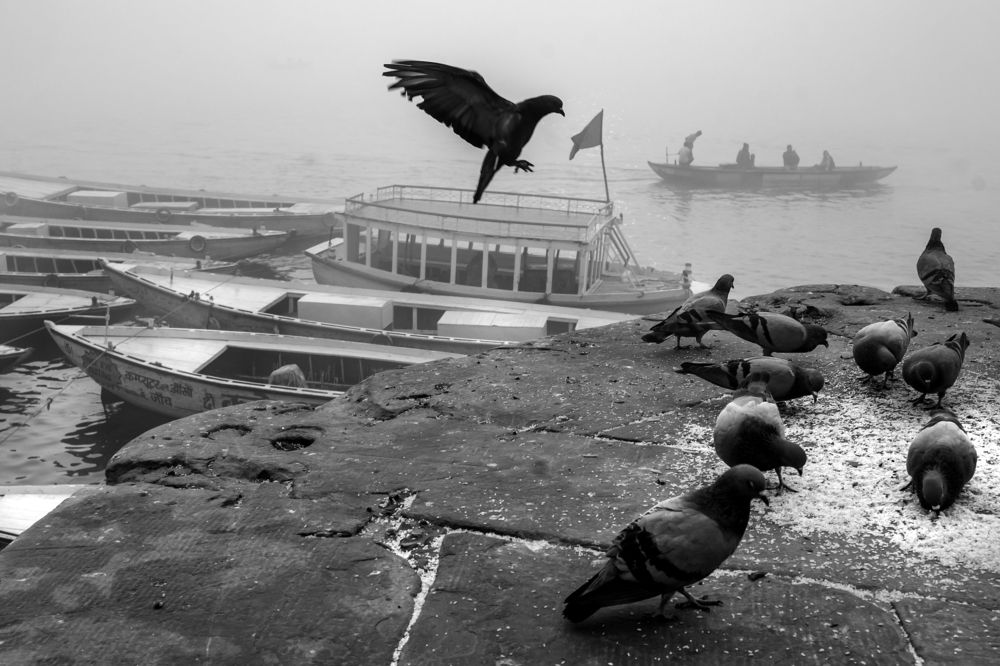 Фотография автора Dipayan Biswas