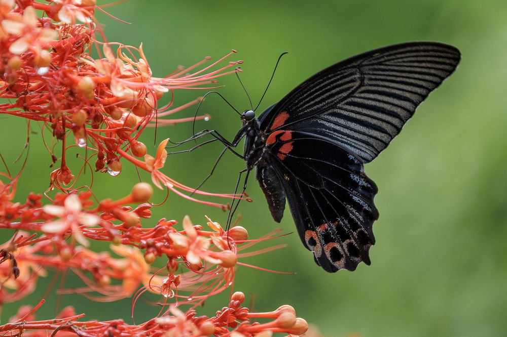 Photograph by Benny Chan