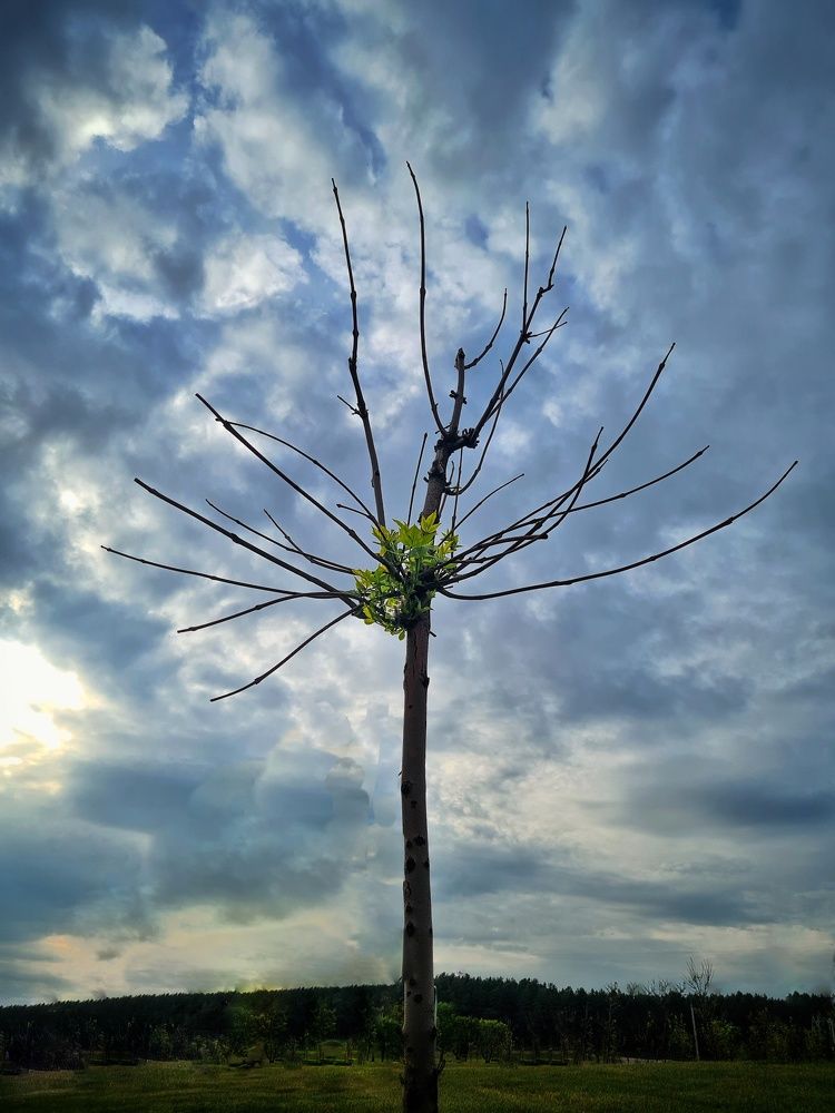 Photograph by Татьяна Соколовская