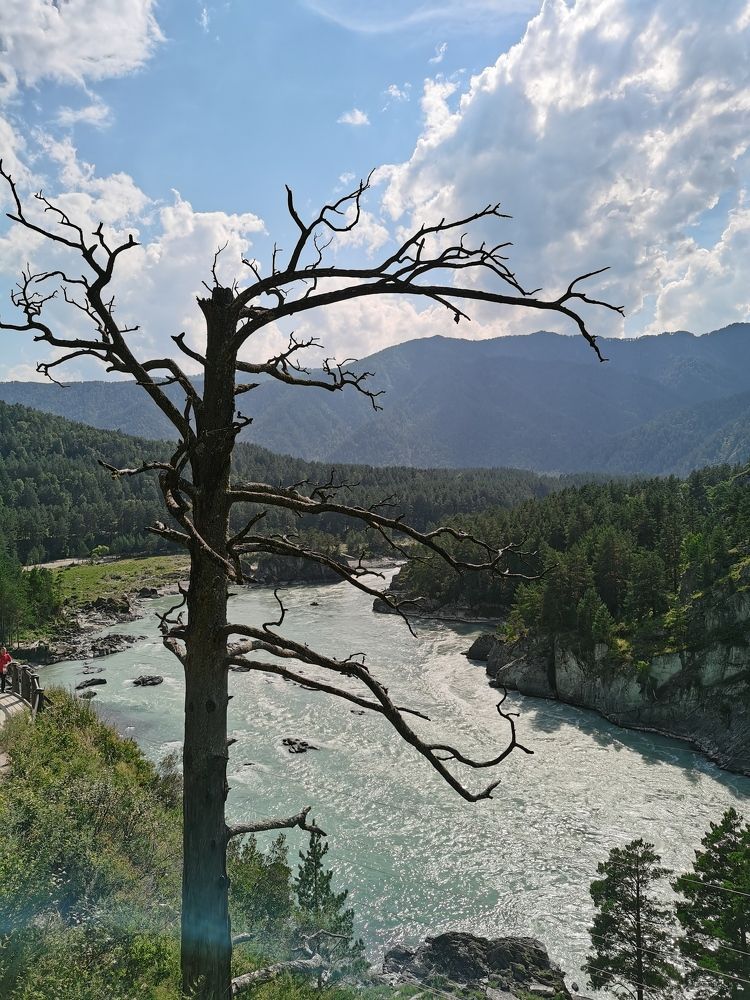 Photograph by Наталья Круглова