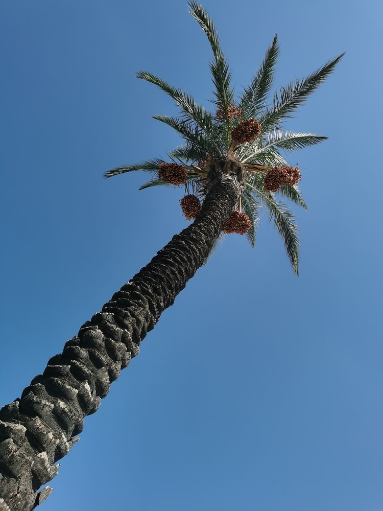 Photograph by Наталья Круглова