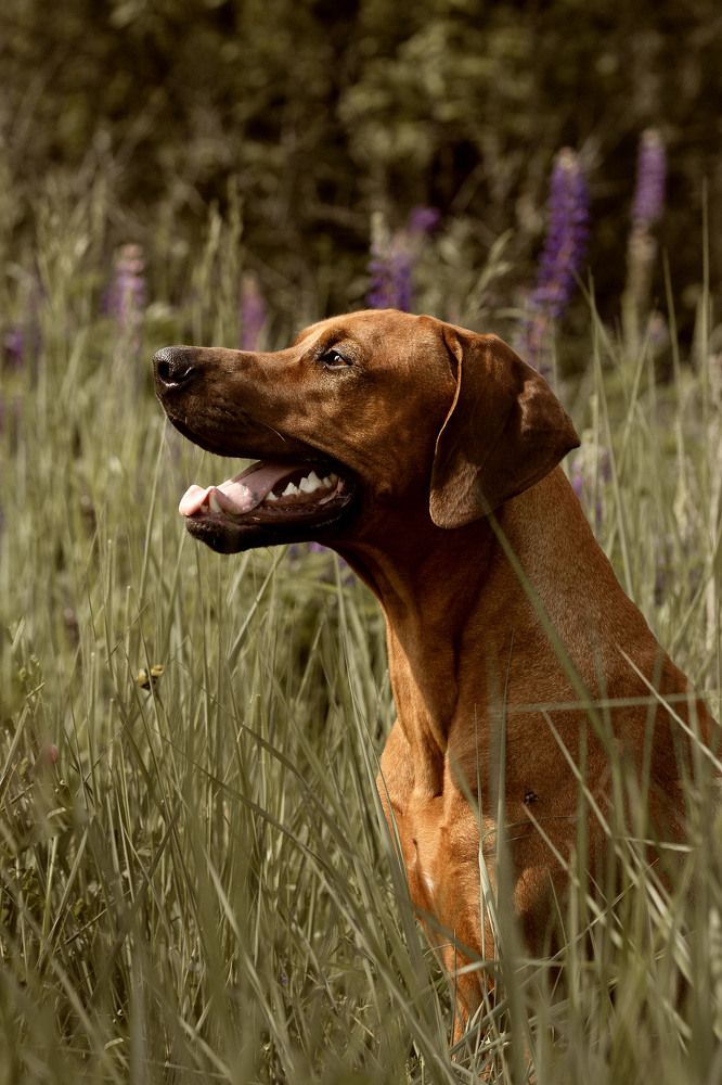 Photograph by Olga Varlamova