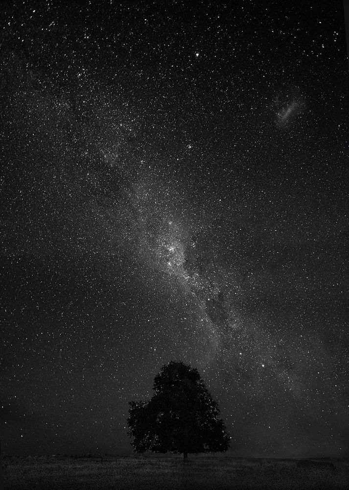 Фотография автора Marina Martorelli