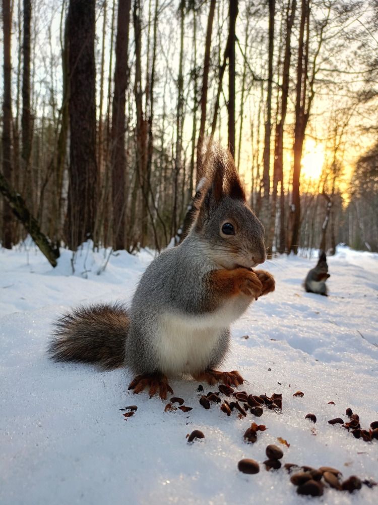 Фотография автора светлана