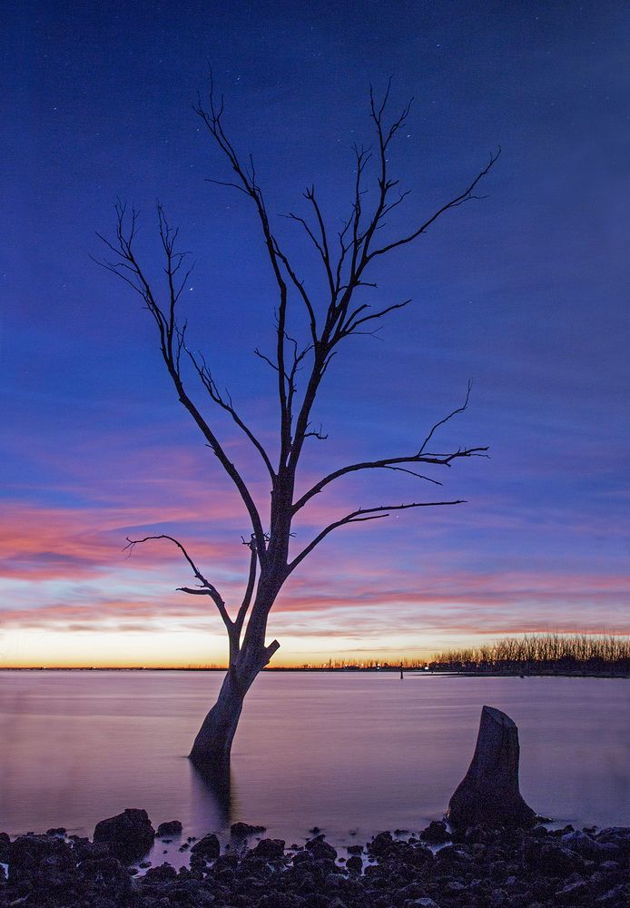 Фотография автора Marina Martorelli