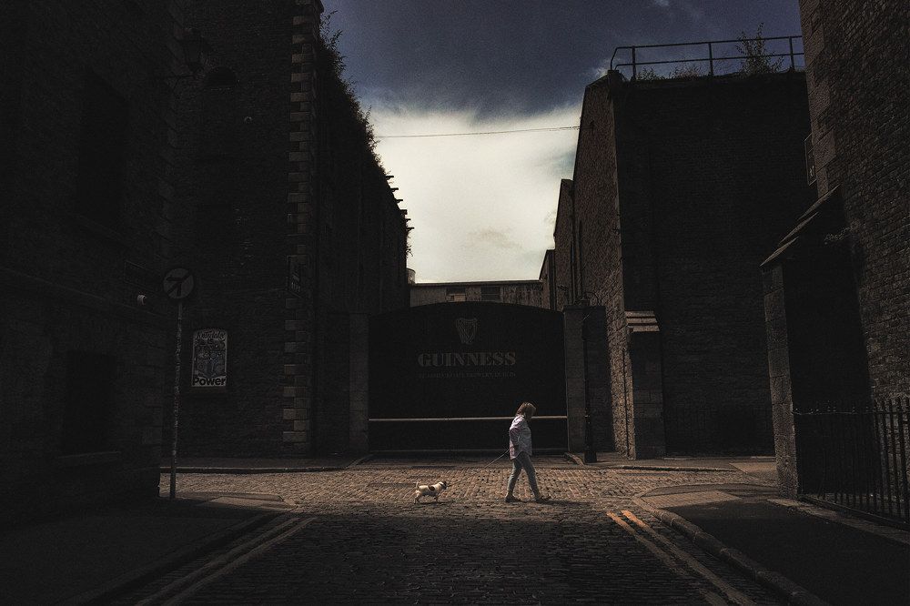 Фотография автора Vasilev Kris