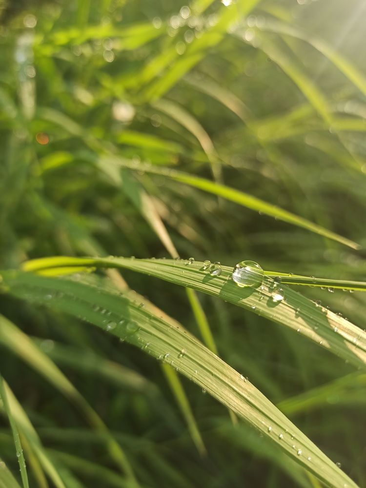 Photograph by Игорь Максимов