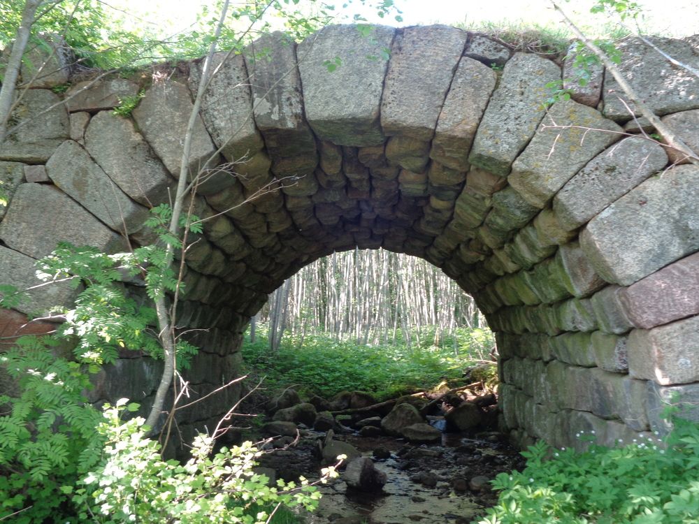 Photograph by Игорь Максимов