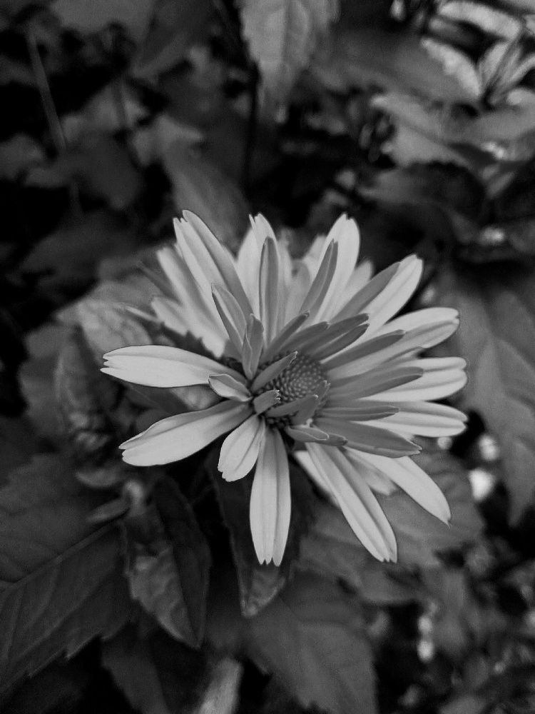 Photograph by Марина Гусева