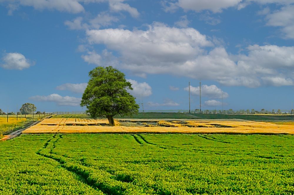 Под облаками