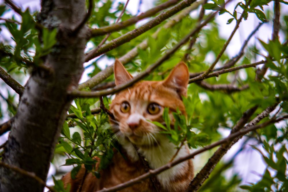 Photograph by Yrii Usoltsev