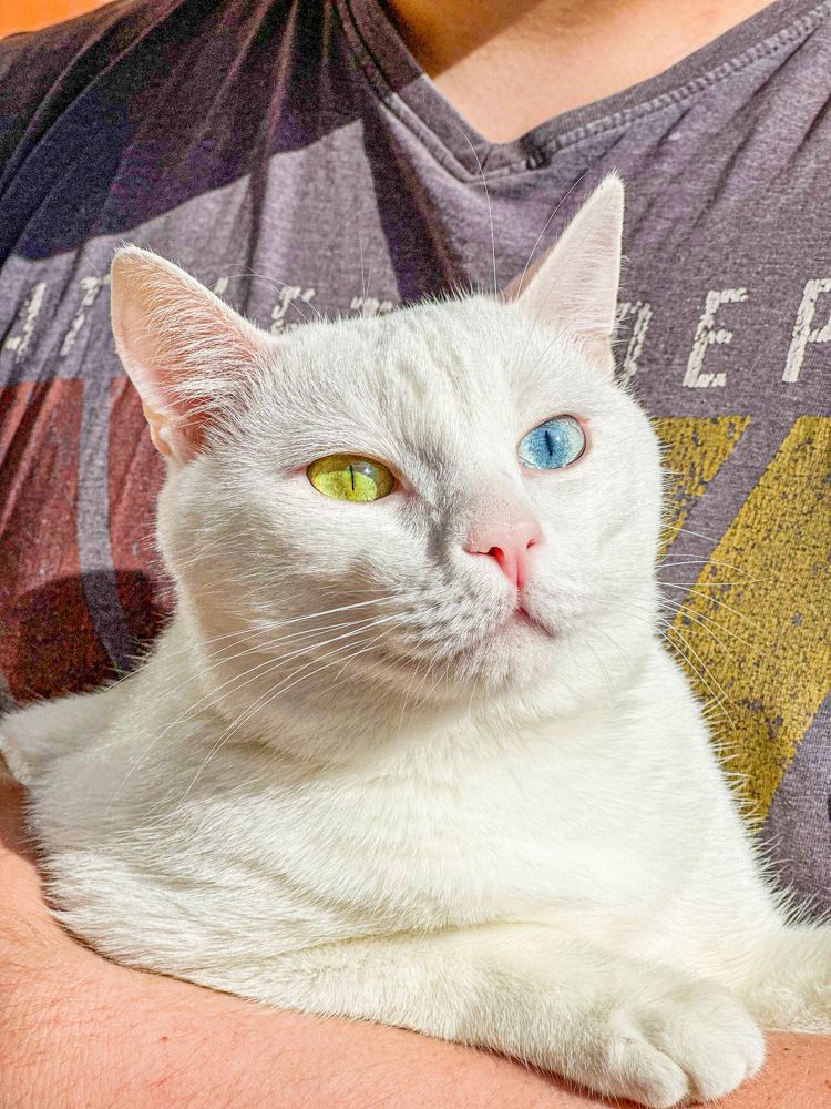 Photograph by Ирина Маркина