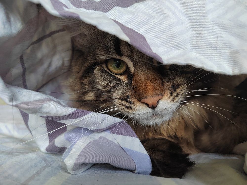 Photograph by Евстигнеев Евгений Васильевич