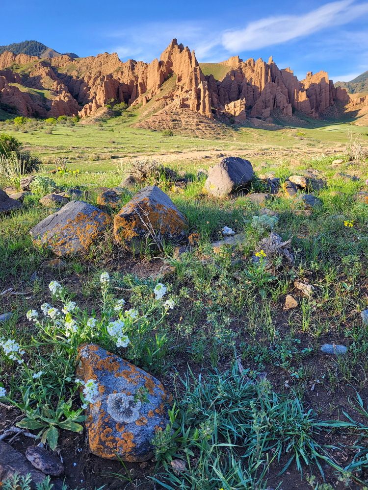 Photograph by Ирина Сушко