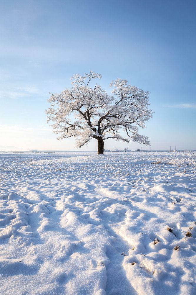 Photograph by Vu Van Minh