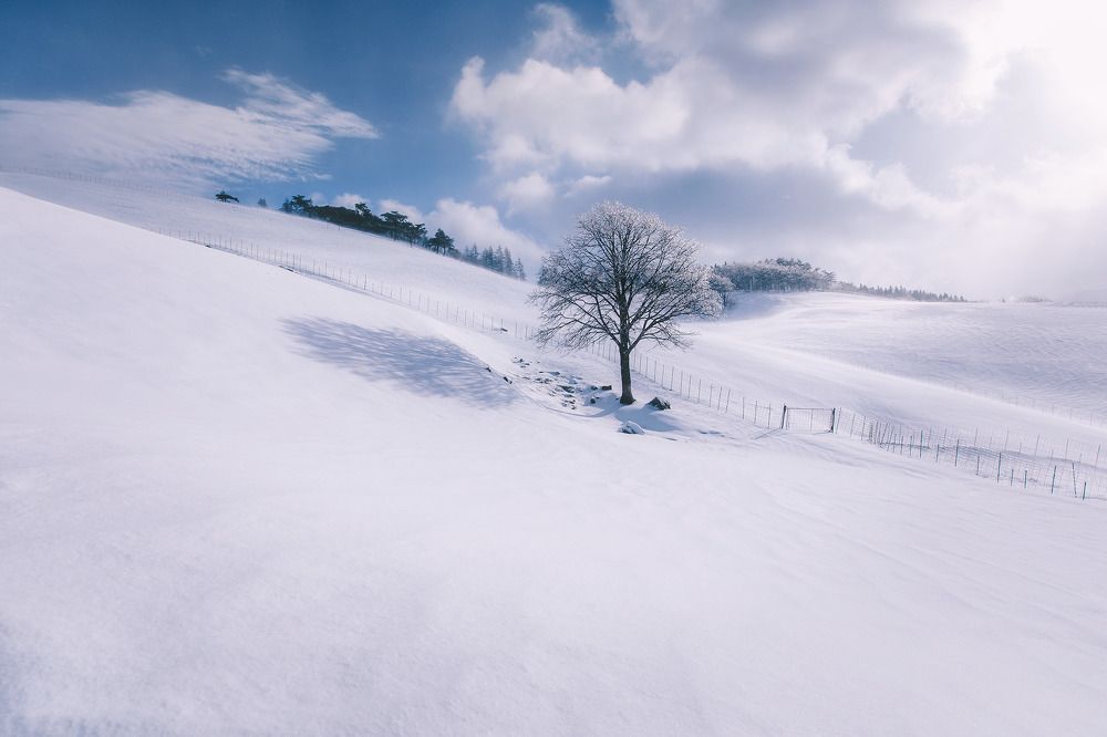Photograph by Vu Van Minh