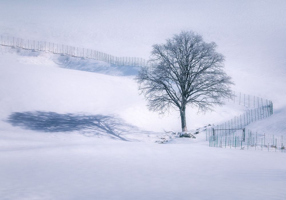 Photograph by Vu Van Minh