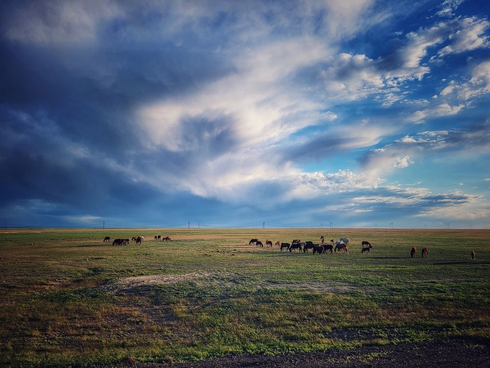 Photograph by Ирина Сушко