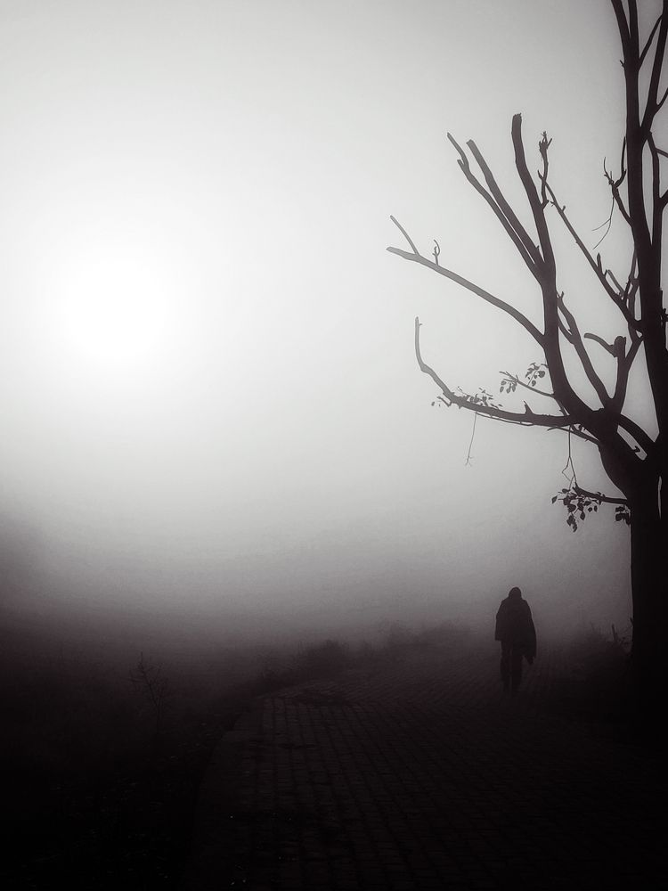 Photograph by prashant bamnawat