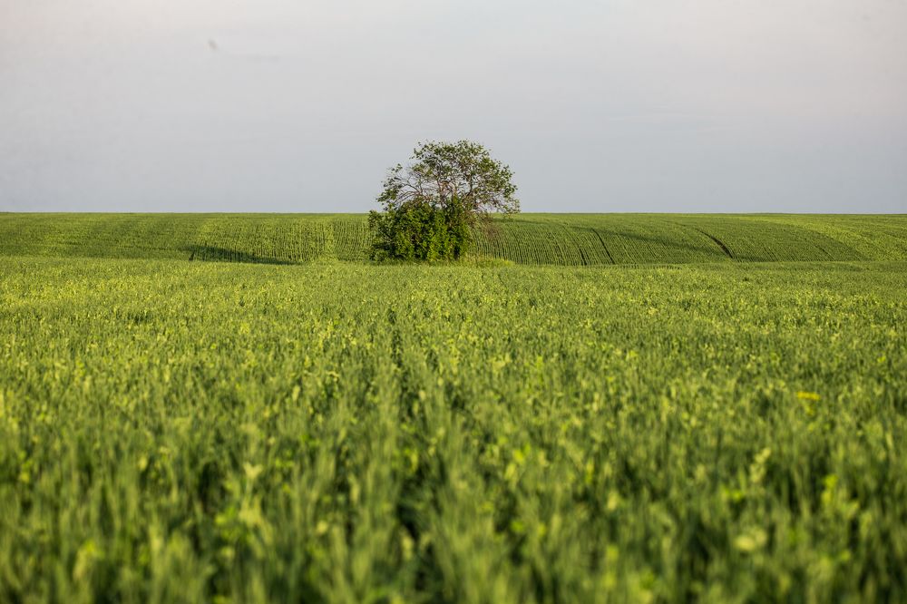 Photograph by Иван Овчинников