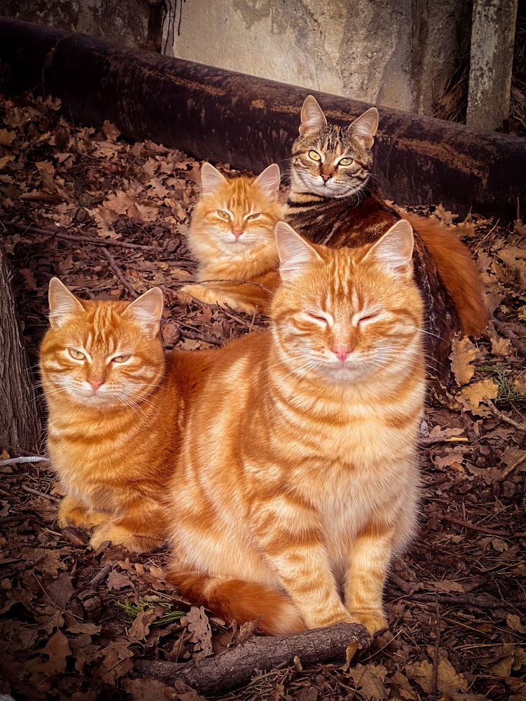 Photograph by Игорь Толкачев