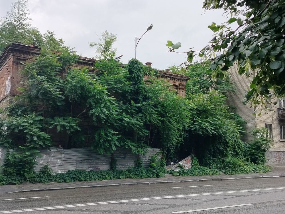 Photograph by Адамян Анна