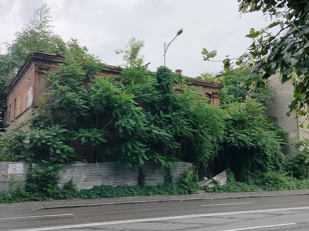 Photograph by Адамян Анна