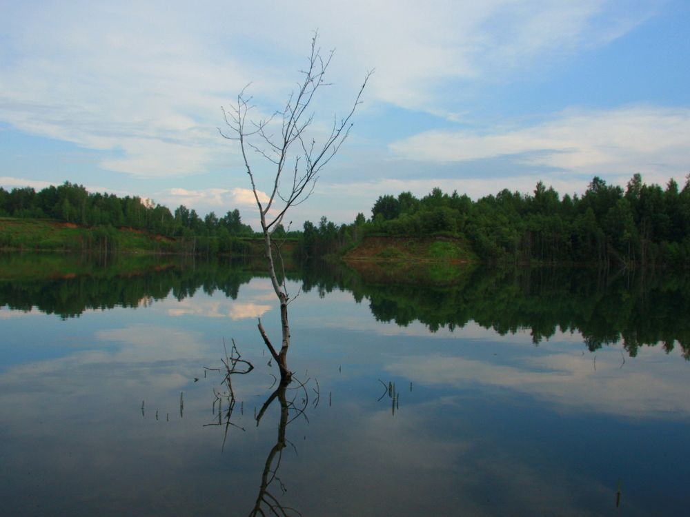 Фотография автора Nelya  Lysenko