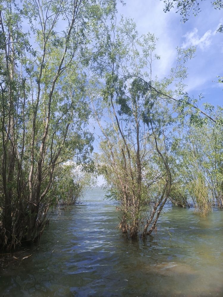 Фотография автора Виталий Петухов