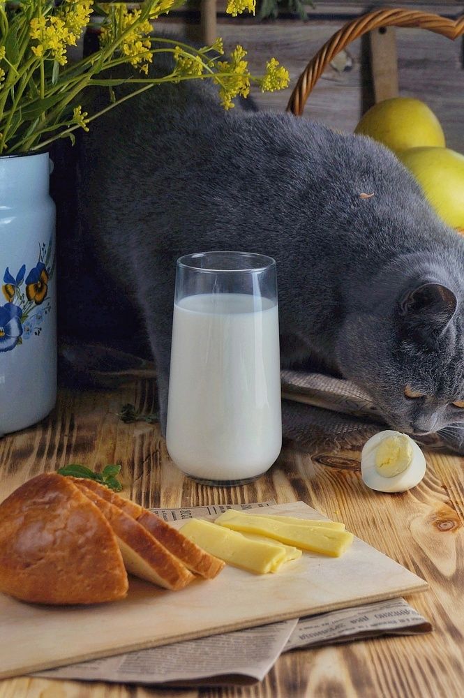 Photograph by Светлана Гришакова