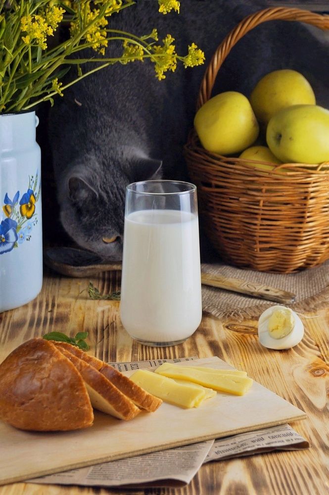 Photograph by Светлана Гришакова