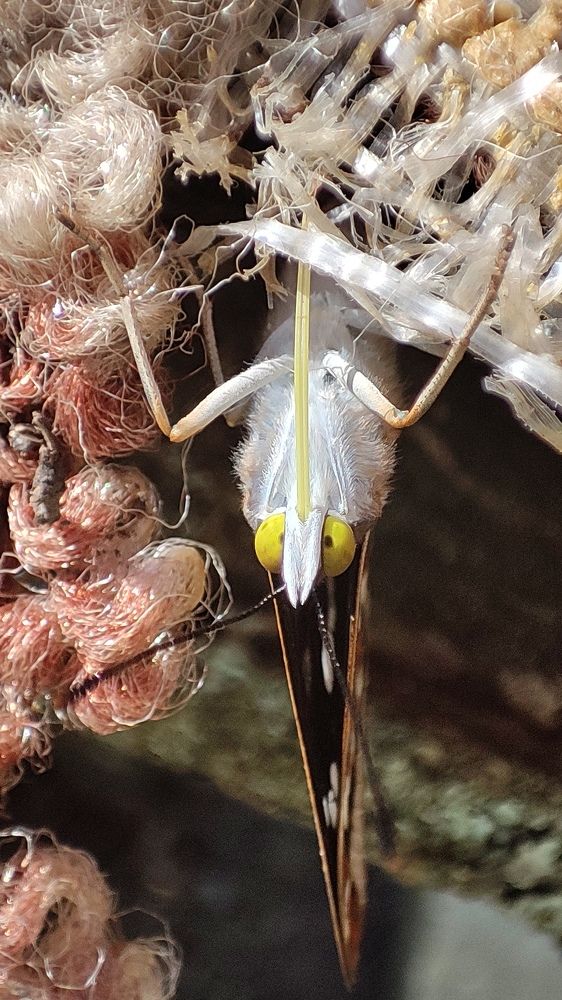 Photograph by Екатерина