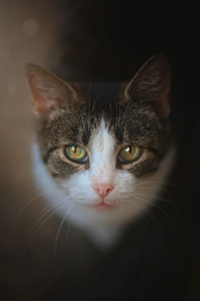 Photograph by Татьяна Максакова