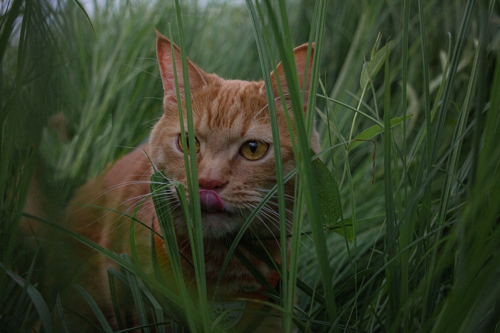 Photograph by Ольга Оверко