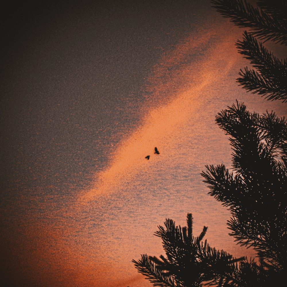 Photograph by Игорь Максимов