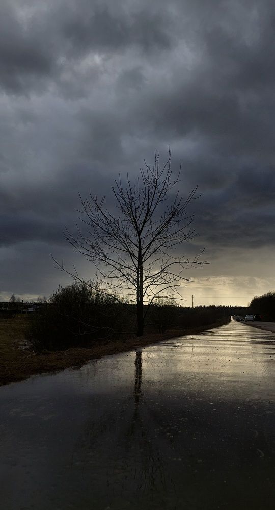 Фотография автора Виталий Петров