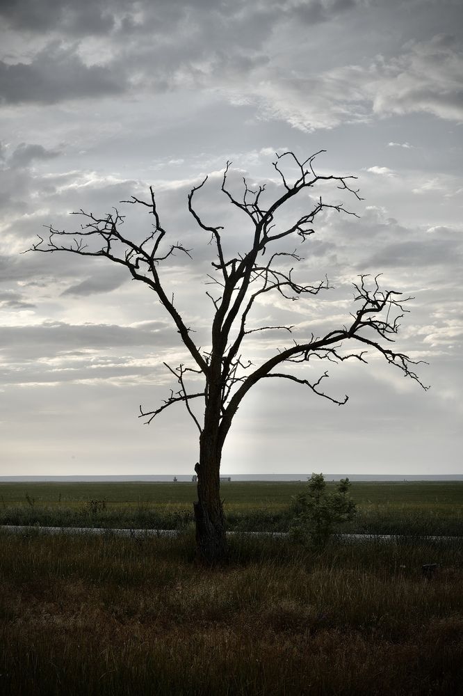 Фотография автора Константин Борунов