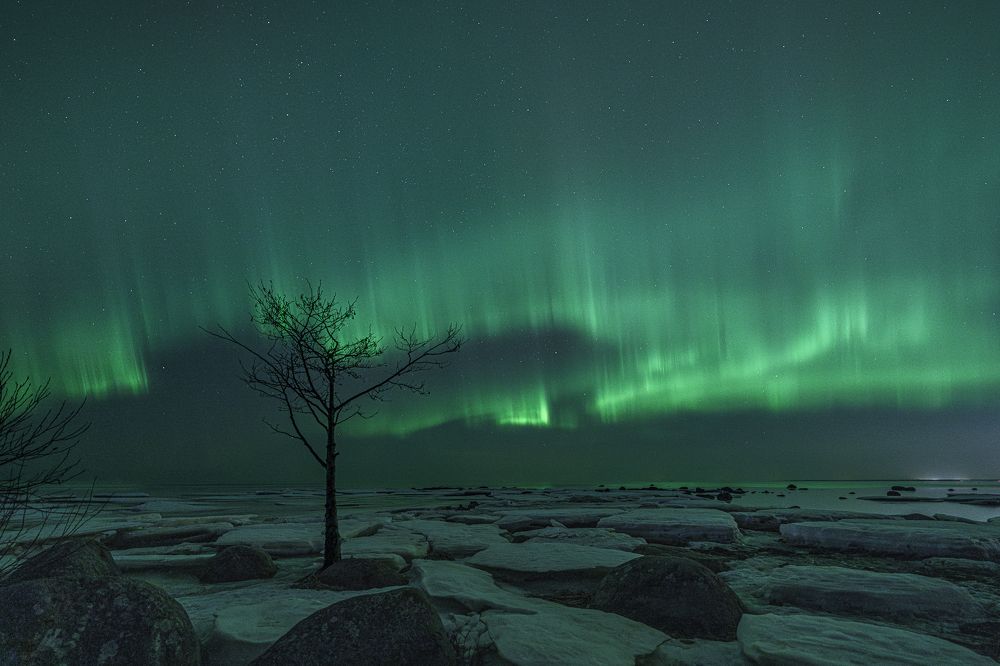 Photograph by Andrew Kuprin