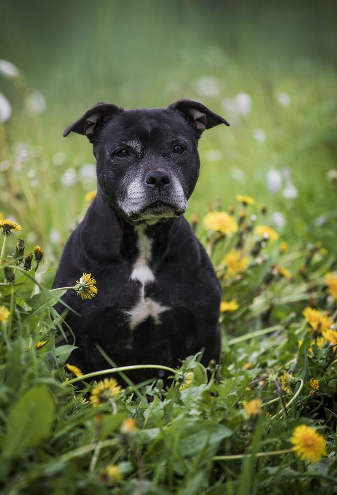 Photograph by Евгения Барановская