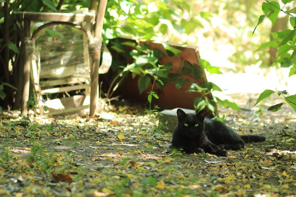 Photograph by Татьяна Леонтьева