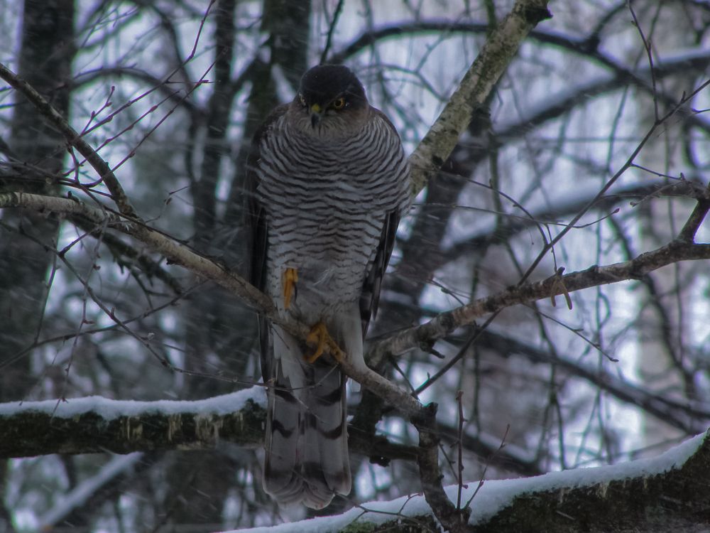 Photograph by Андрей