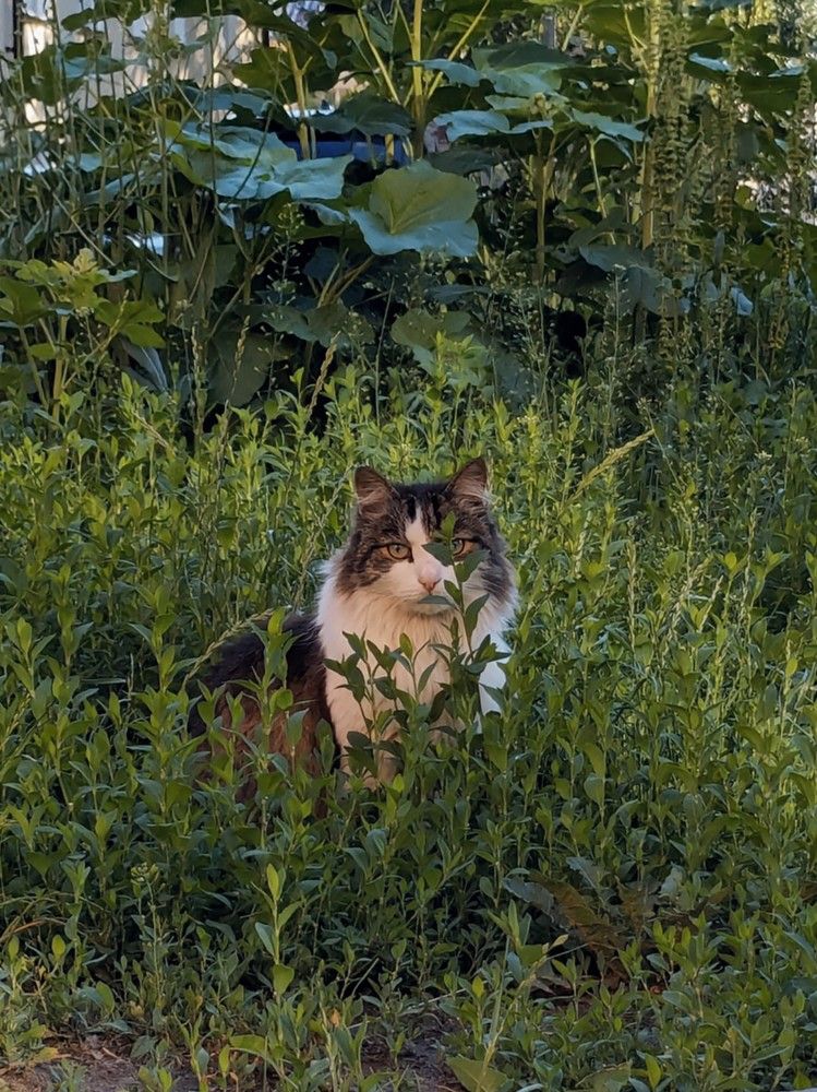 Photograph by Алексей Никифоров