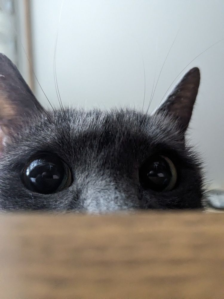 Photograph by Алексей Никифоров