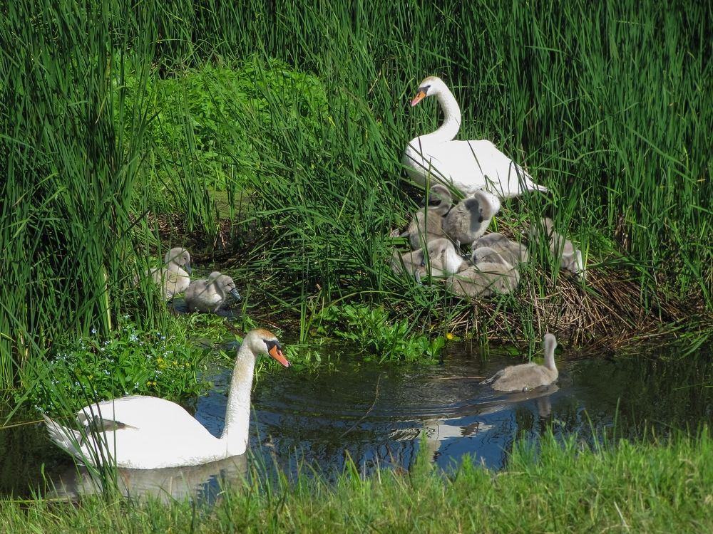 Photograph by Андрей