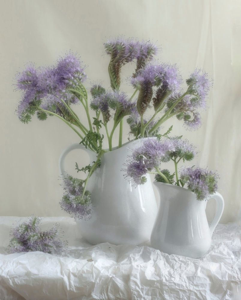 Photograph by Марина Регенспергер