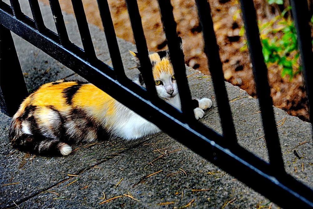 Photograph by Вадим Гераскин