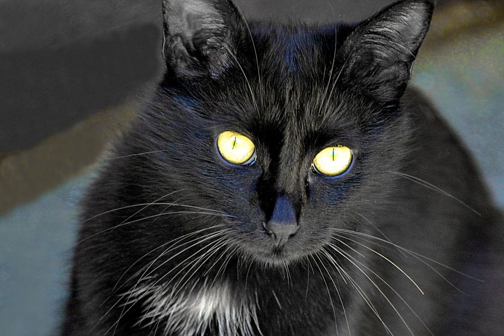 Photograph by Вадим Гераскин