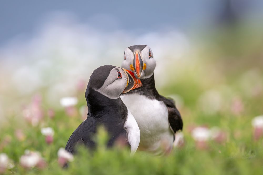 Photograph by Piotr Rak