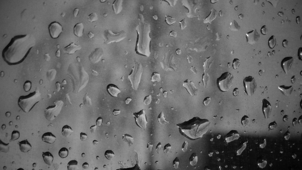 Фотография автора Дмитрий Андреевич