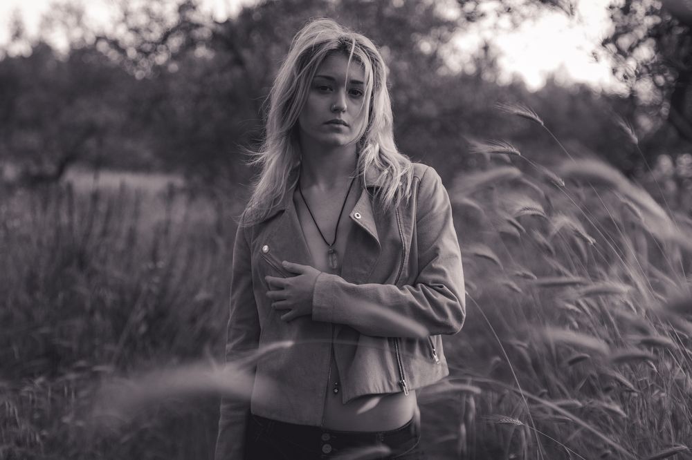 Photo #10721282